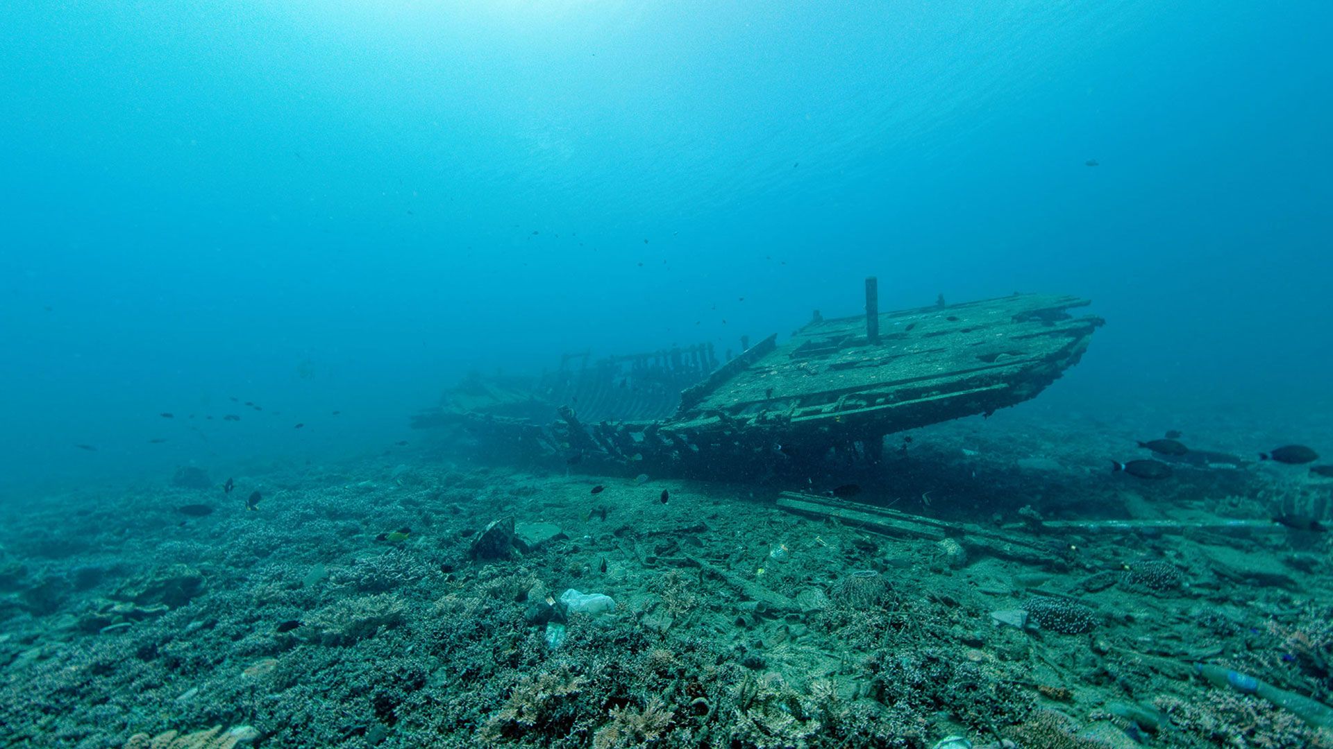 A shipwreck on the seabed. The vessel is barely recognisable. 