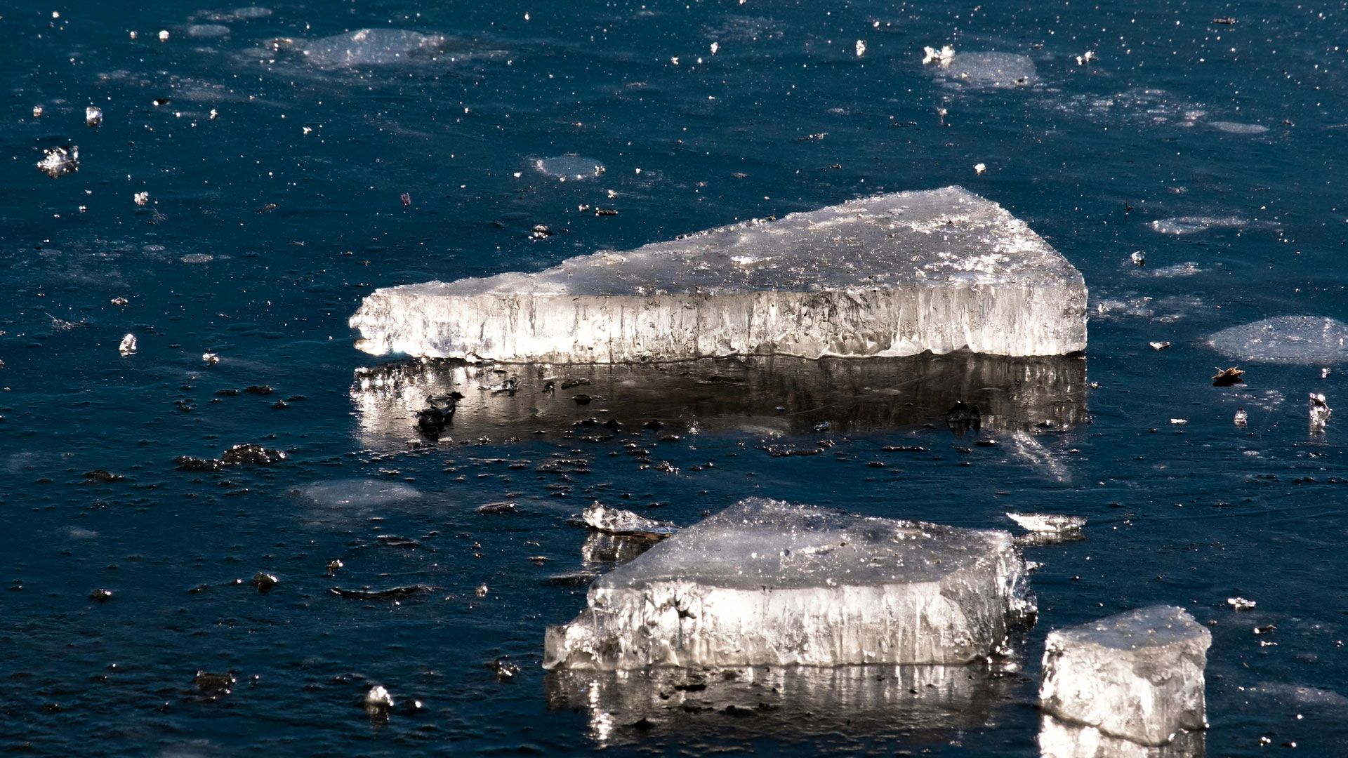 Melting and polluted ice indicates emissions from shipping.