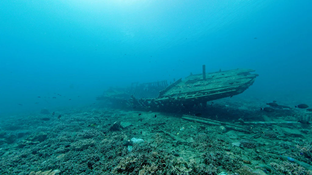 Une épave gît sur le fond de la mer. Elle est à peine reconnaissable.